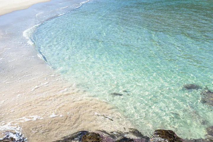 うつくしく光る海